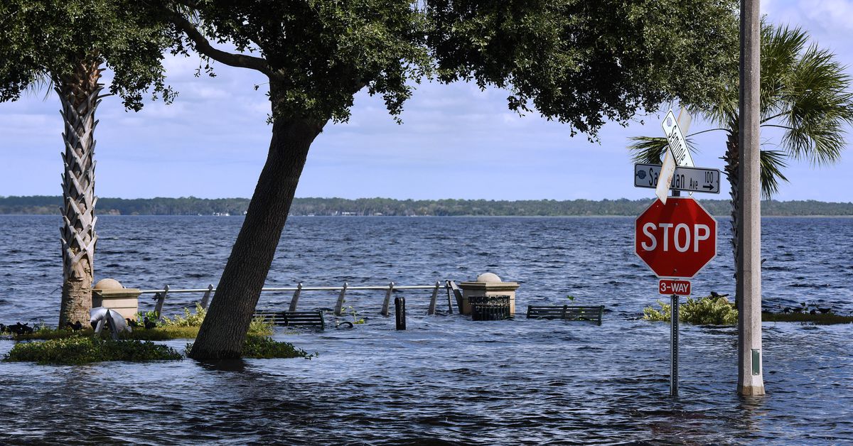 Their homes were destroyed by Hurricane Ian.
