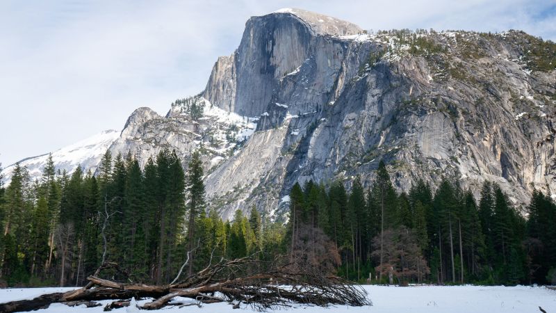 Glaciers from East to West are expected to disappear in the next 40 years.