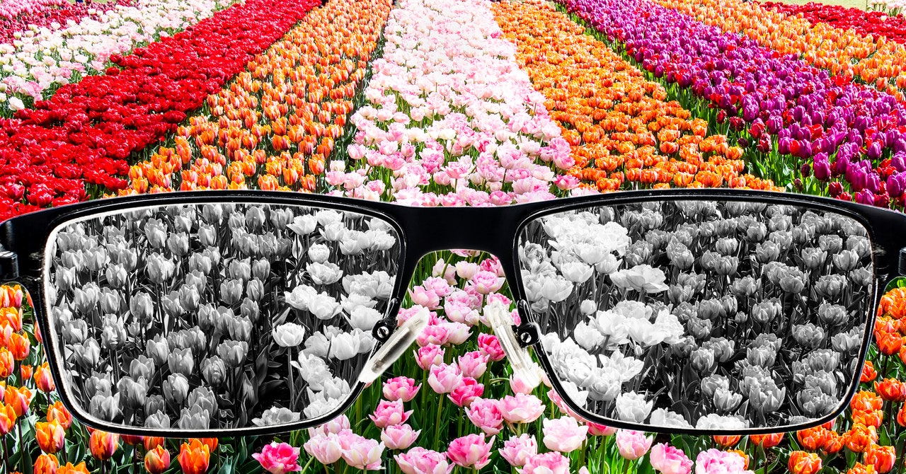 Adobe just held a lot of colors Hostage.