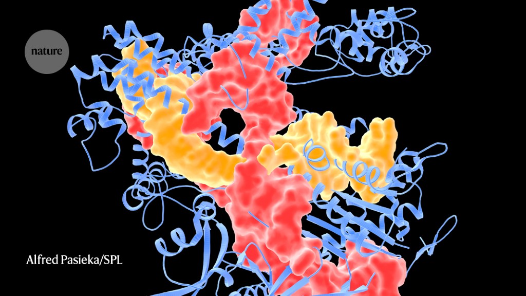 The success of the CRISPR cancer trial paves way for personalized treatments.