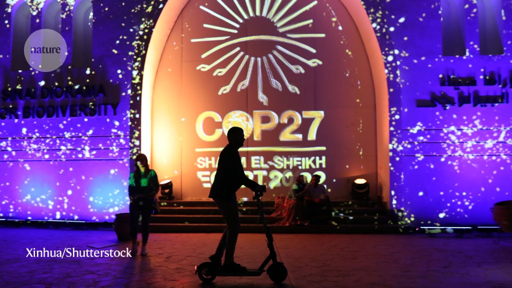 Egypt’s climate scientists share the hope of the 27th Conference of Parties.