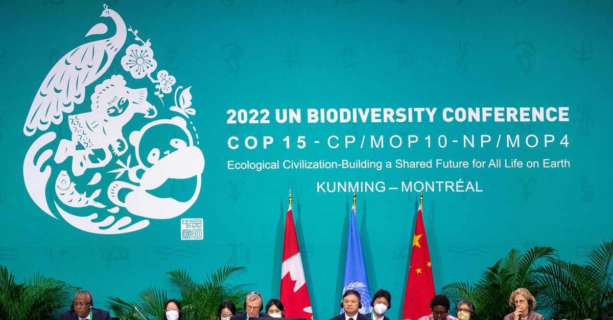 The majority of the world’s countries agreed to protect at least a third of the planet.