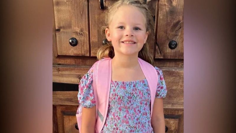 The delivery driver is accused of murdering a 7-year-old and faces 3 unrelated sexual assault charges.