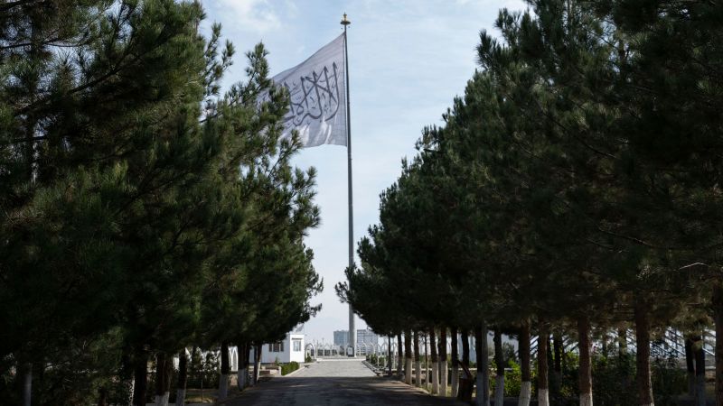 Since the killing of al Qaeda’s leader, top US officials have met with the Taliban.