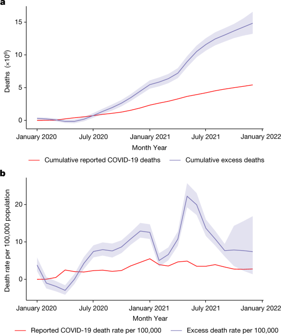 Estimates of excess deaths are made around the world.