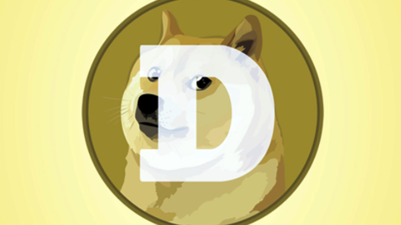 shiba inu is seriously ill with leukemia.