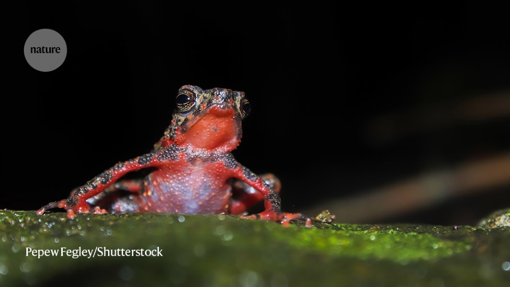 Nations forge historic deal to save species.