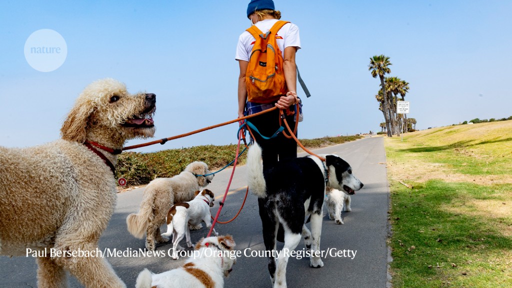 Dog genetics, Moon capsule and skewed sports science.