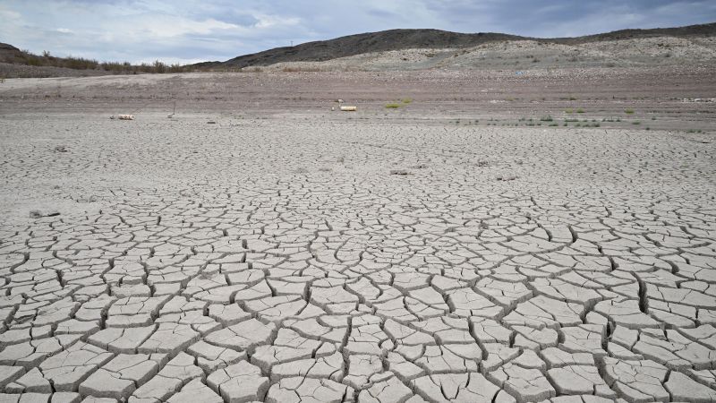 The world is expected to hit a key warming threshold in the next 12 years, according to an analysis of data by artificial intelligence.