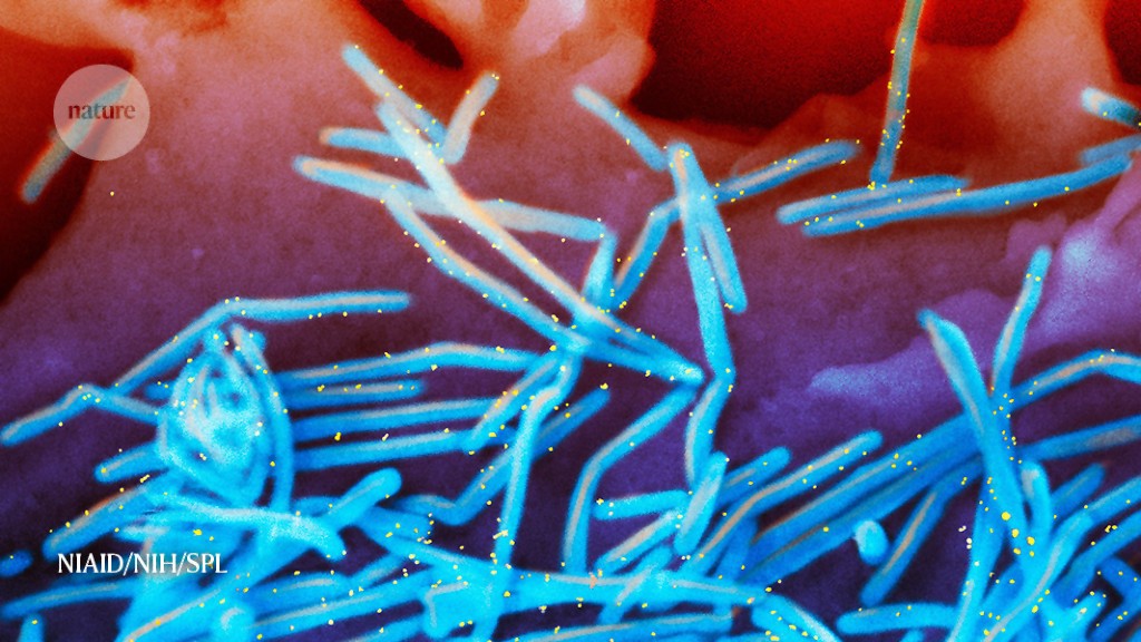Hospitals are being hammered by theRSV wave, but vaccines and treatments are coming.