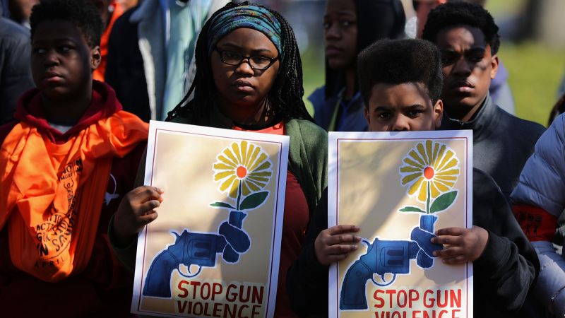 Experts debate who is to blame for gun violence in America
