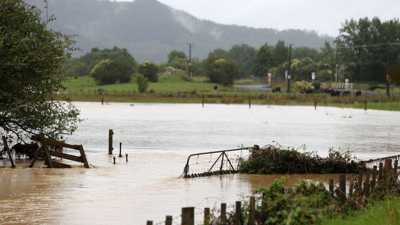 Friederike Otto has hard evidence for climate enforcement