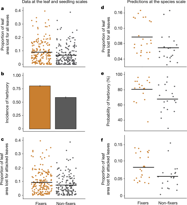 The herbivory costs in tropical nitrogen-Fixing tree species