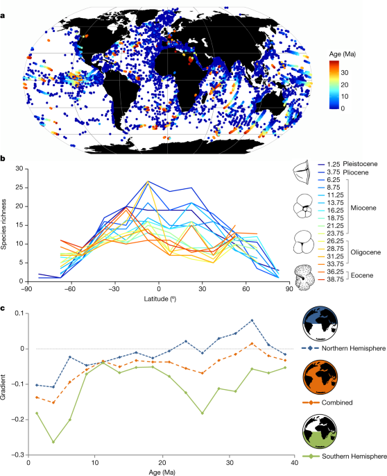 The modern-style diversity gradient is from 15 million years ago