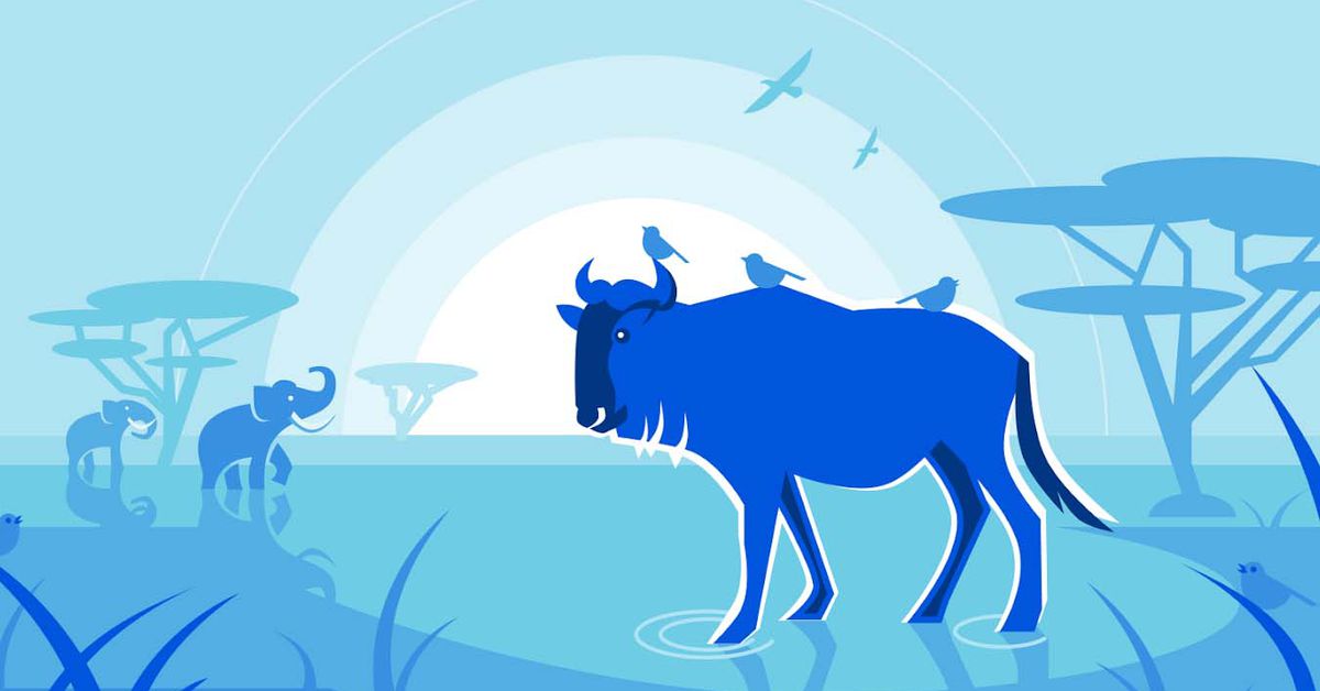 You will be helped to set up your own Mastodon server by Cloudflare