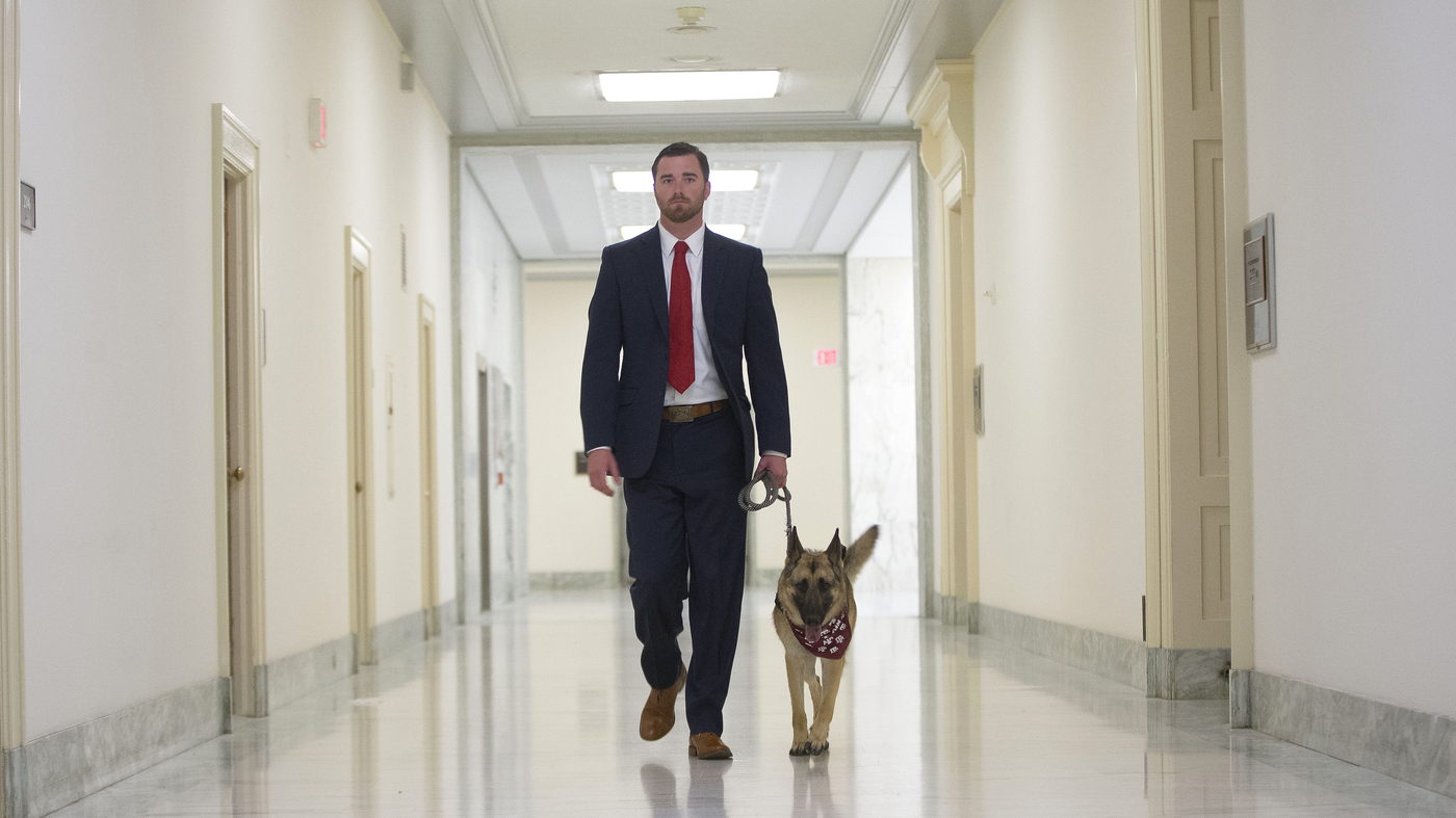 The furry ambassador for veterans and service dogs has died