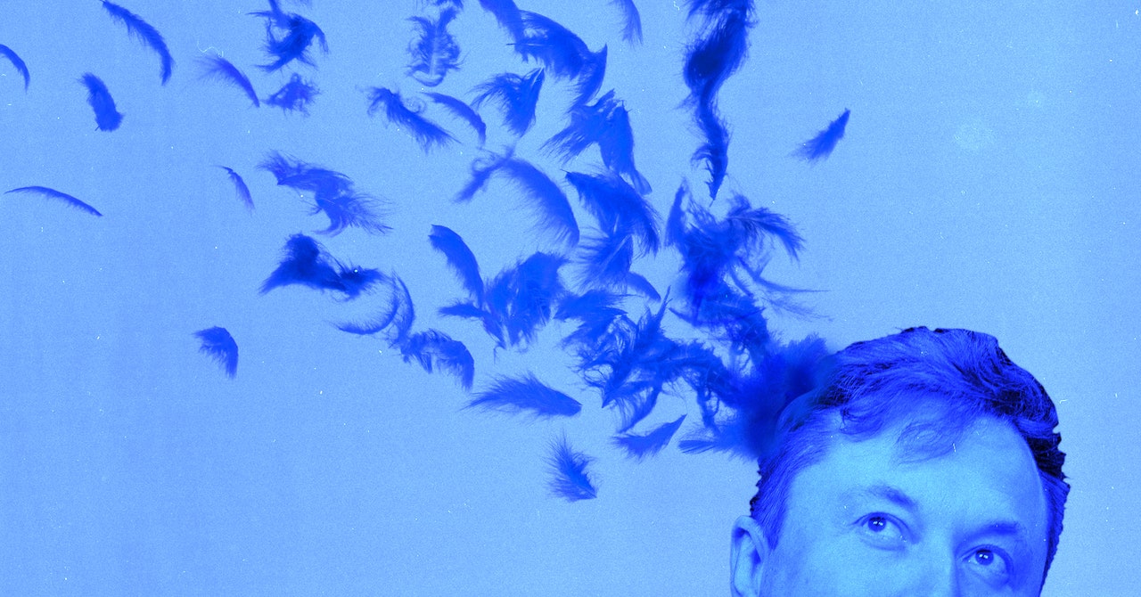 Several journalists were banned over Musk’s airline, and he re-enabled accounts