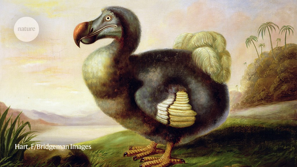 The resurrection of a bird that has been extinct for a long time is being planned by scientists