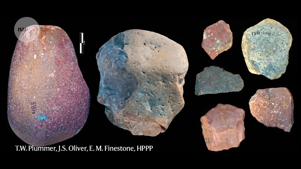 Stone tools show that early humans ate on Hippo
