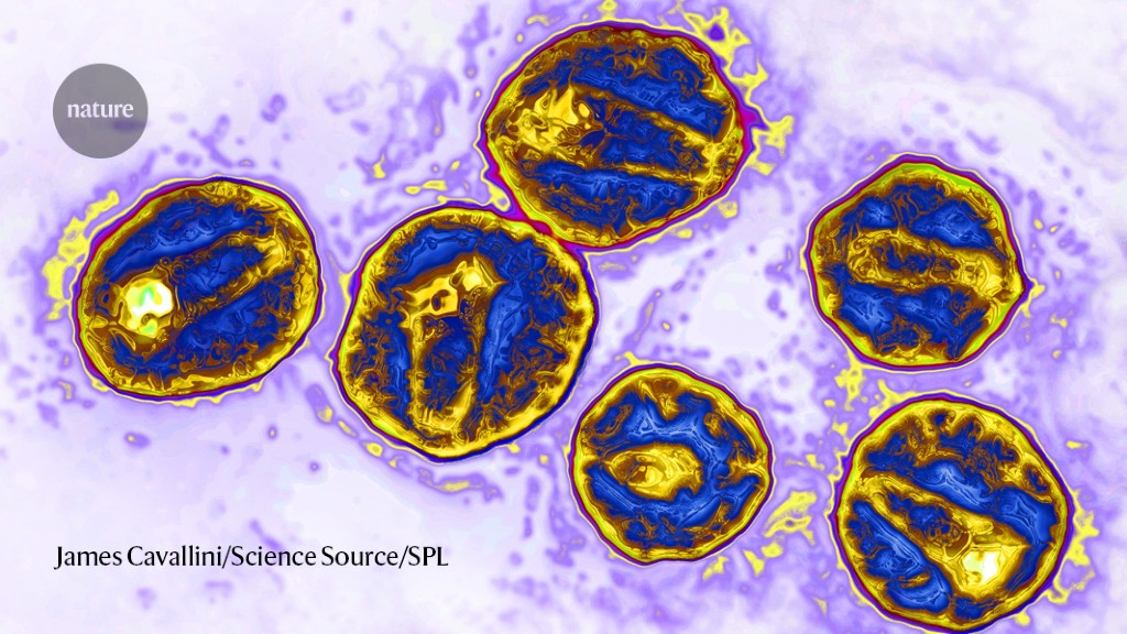A third patient has been free of HIV after a cell transplant