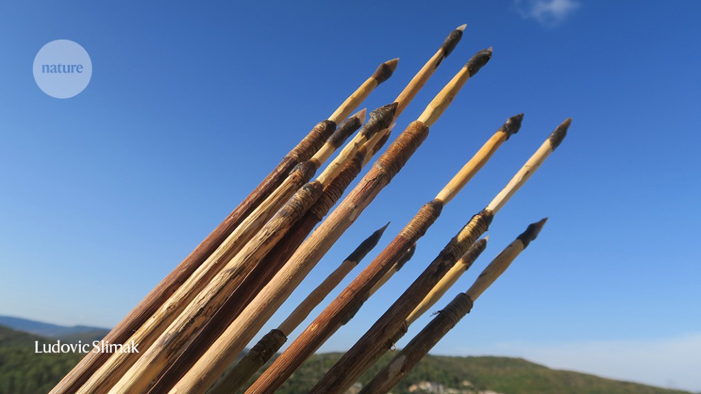 Europe’s first humans hunted with bows and arrows