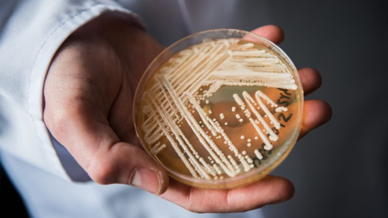 The CDC says there is an alarming rate of candida auris in US health care facilities