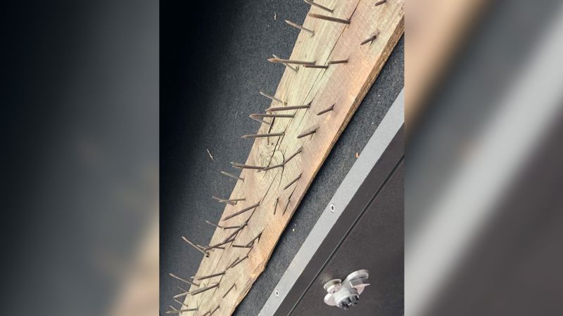 Atlanta’s proposedCop City training center was partially closed after deadly traps were found