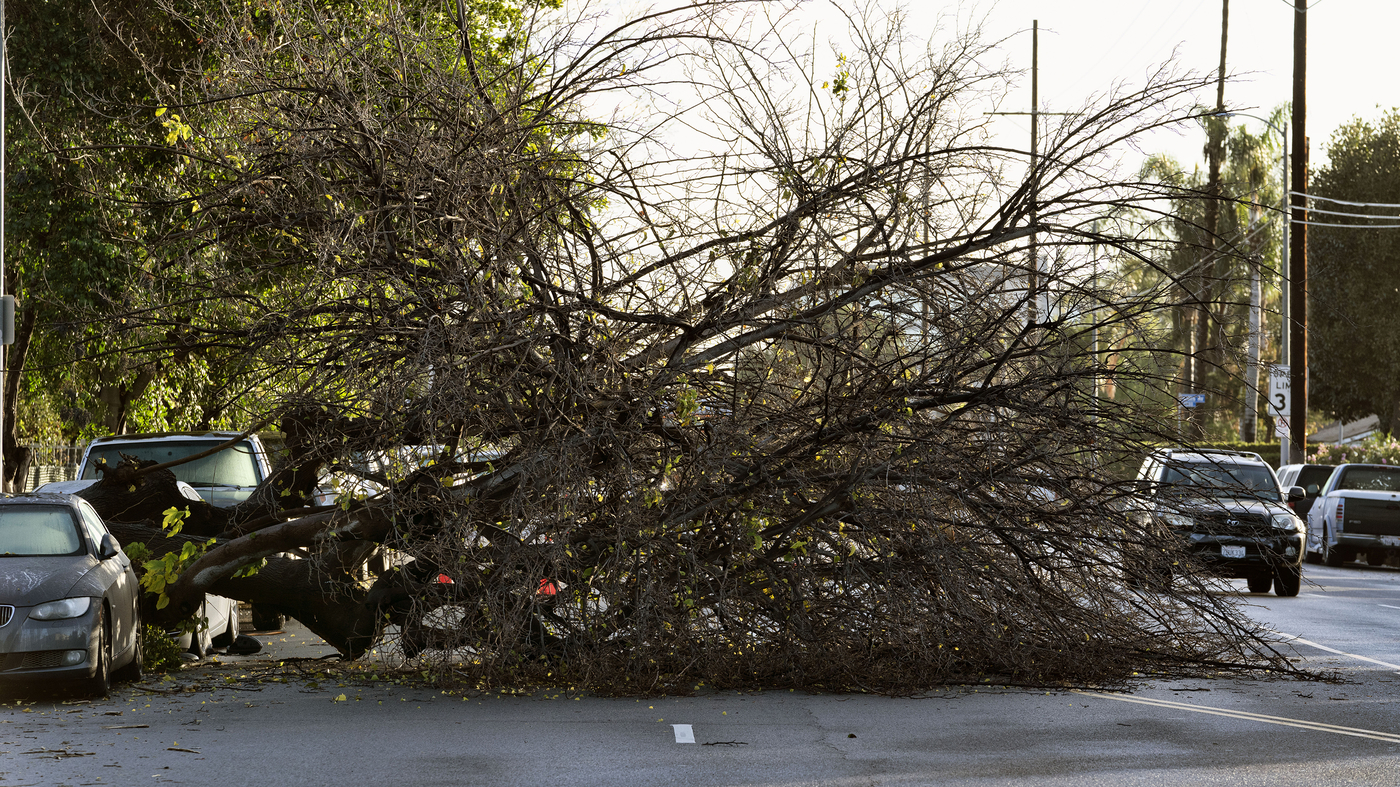 There are road closings and power disruptions caused by a storm in California