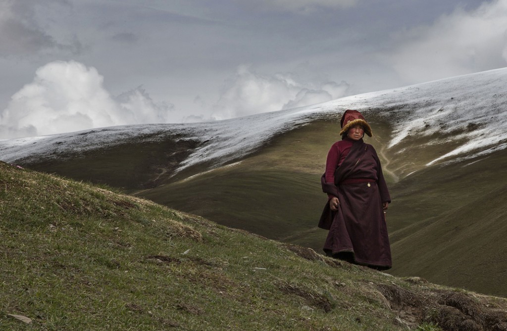 Humans escaped Europe’s deep freeze