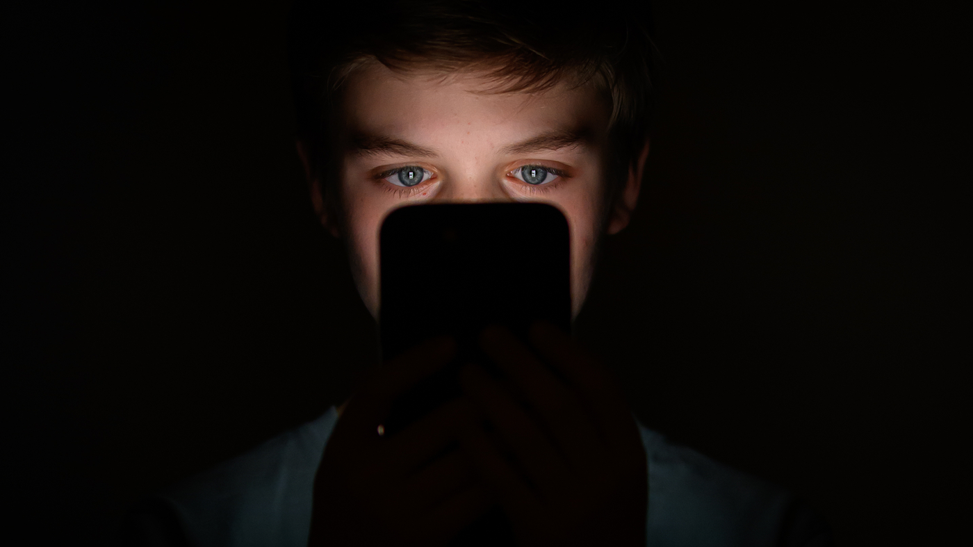 There is growing pressure to remove TikTok from app stores