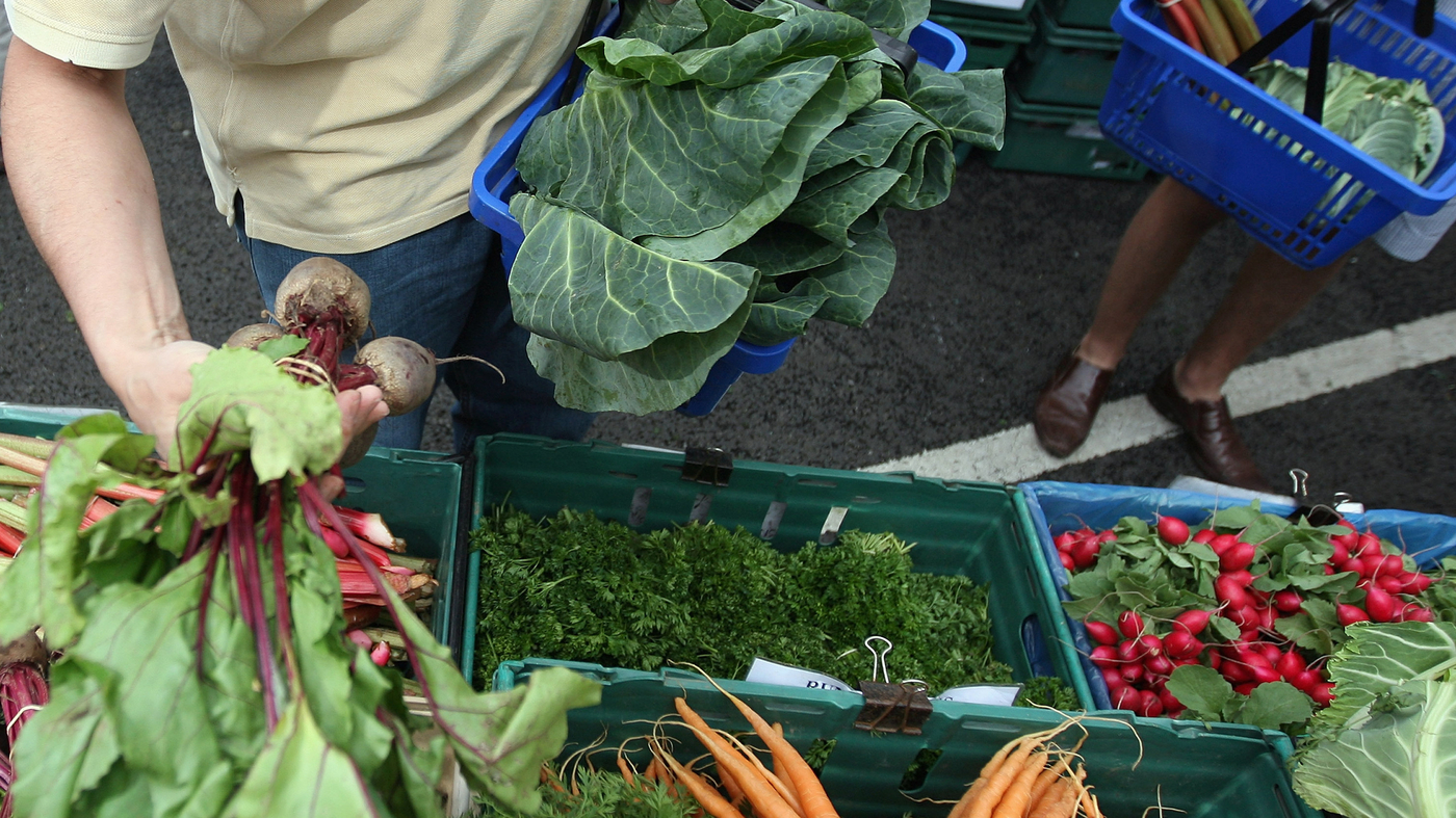 It is time to endemic food assistance that held back hunger