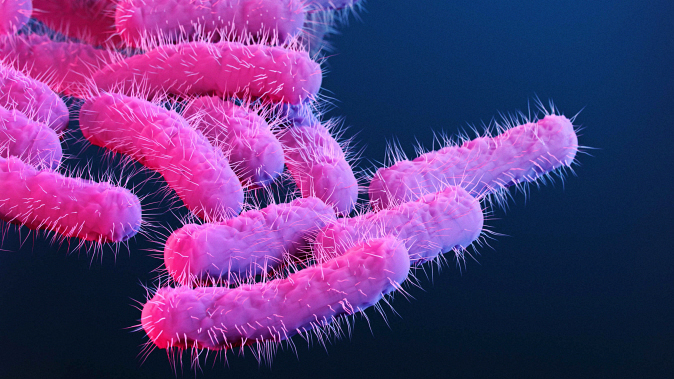 The CDC issued a warning over an increase of drug-resistantbacteria