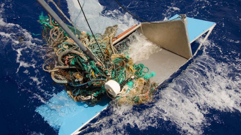 A coastal ecology is thriving on the Great Pacific Garbage Patch