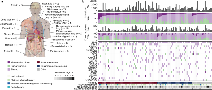 Lung cancer and the spread of the disease are characterized by geno-transcriptomic evolution