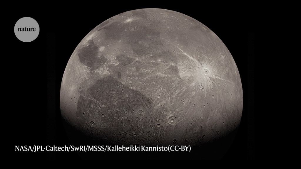 The European space probe sees the Jupiter System