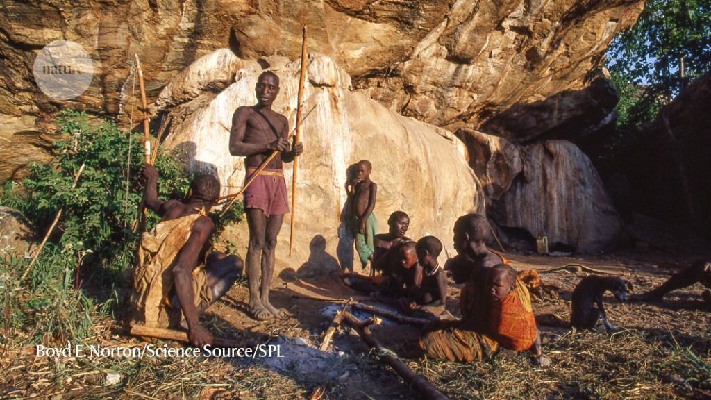 The  hunter-gatherer lifestyle is good for the gut