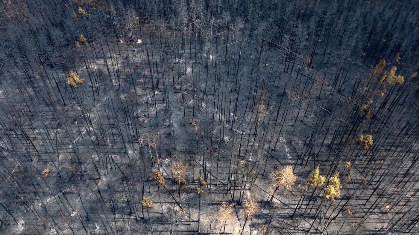 There are so many fires this year in Canada