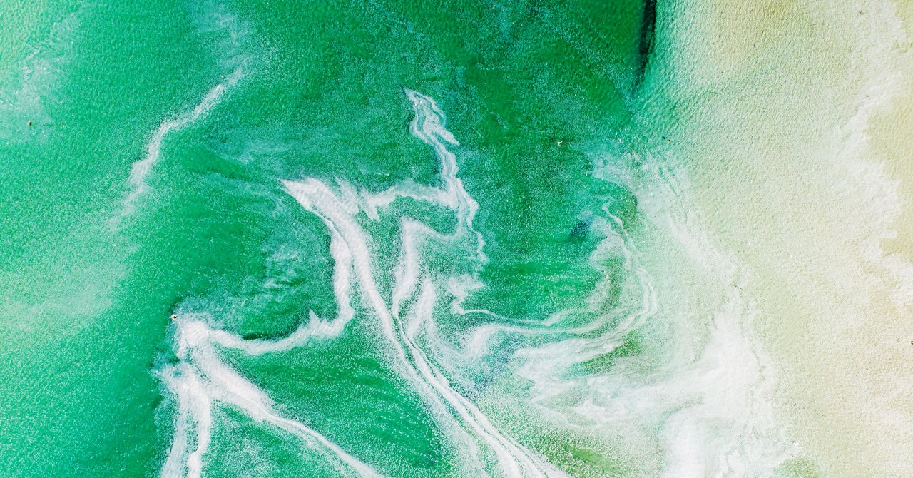 Scientists are clashing over critical currents