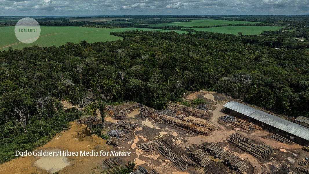 The increase in carbon emissions was caused by the decline in law enforcement
