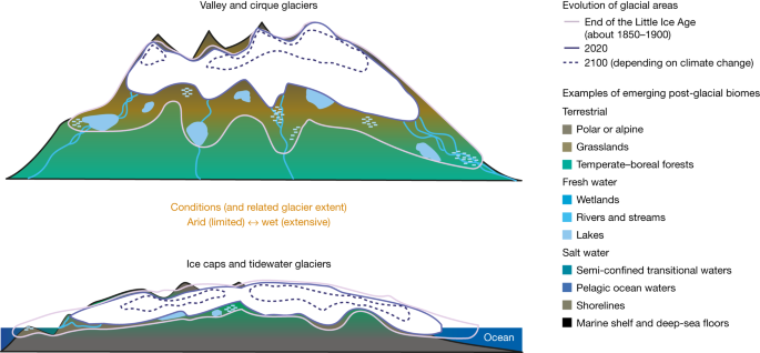 The emergence of new organisms will be caused by the retreat