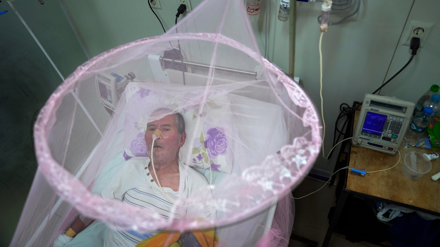 A new discovery could help with Chikungunya