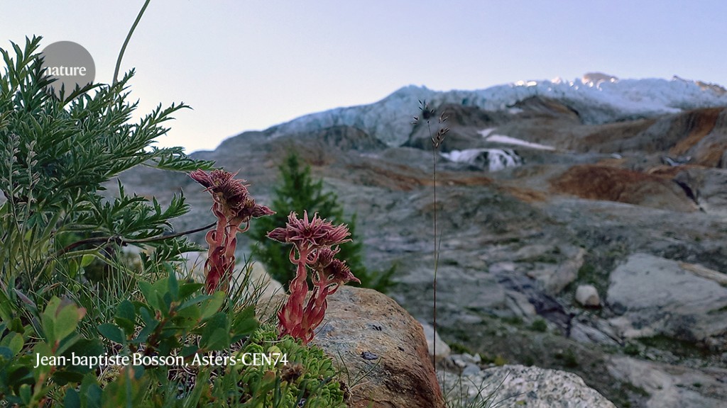 There are new habitats in need of protection as glaciers melt