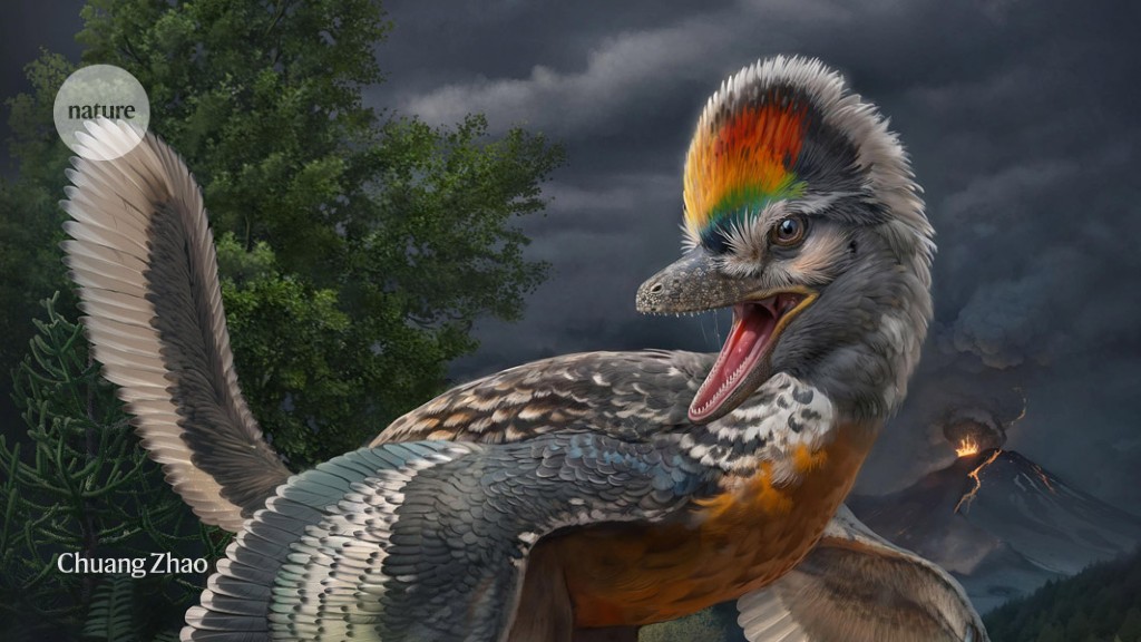Dinosaurs are asked to rethink bird evolution