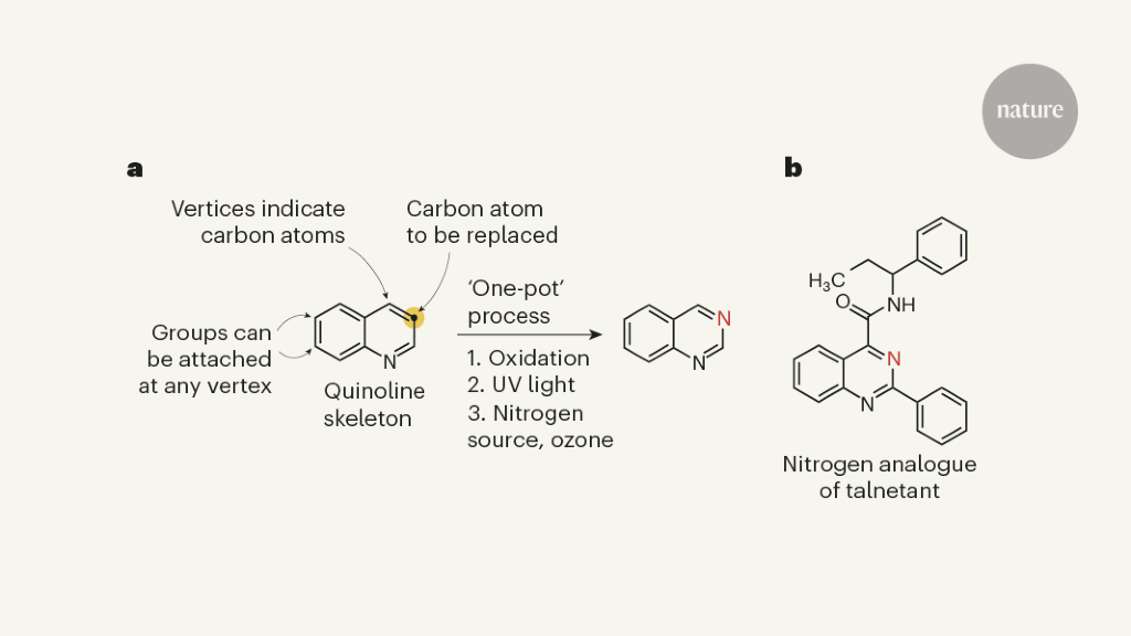 The carbon-to-nitrogen transmutation of azaarenes