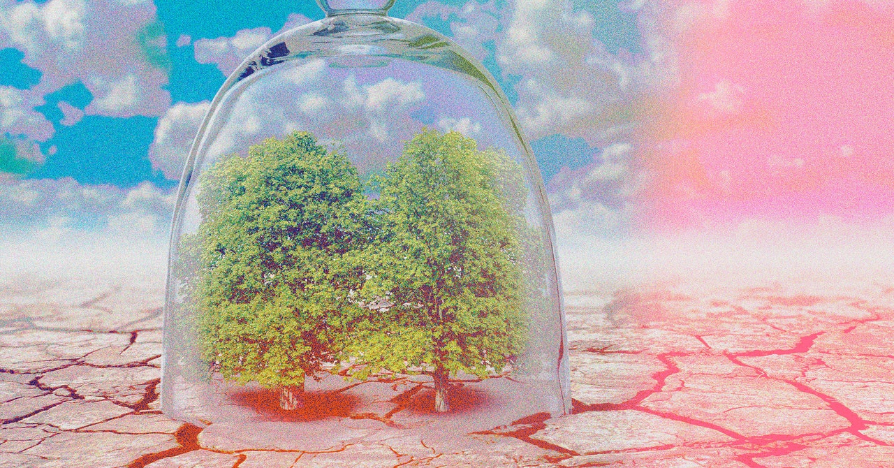 The Climate Crisis is Gobsmacking, but so is progress