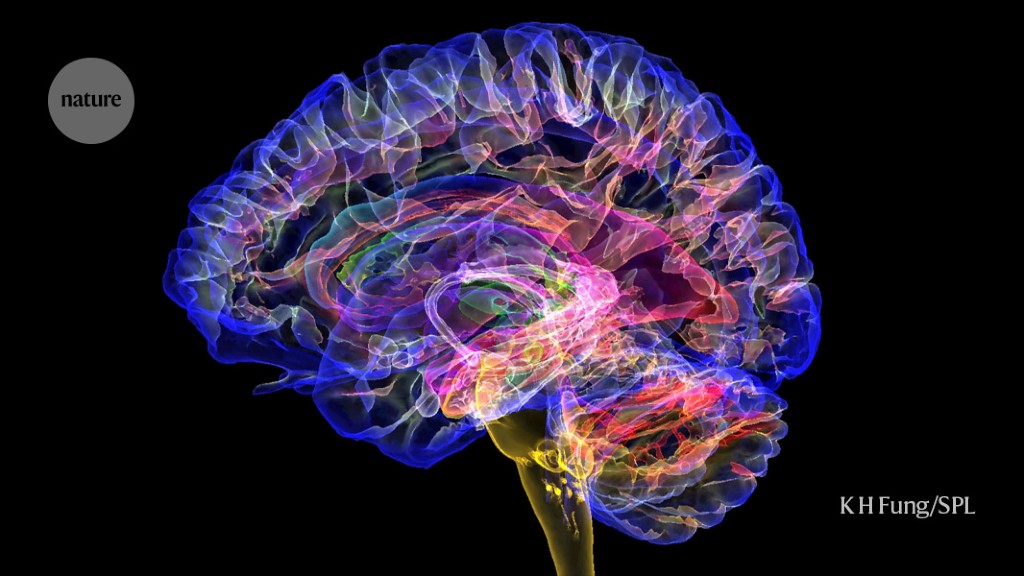 People with traumatic head injury may be helped by brain implants