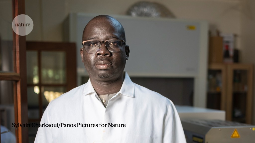 Four researchers from the south are collaborating with researchers from the north