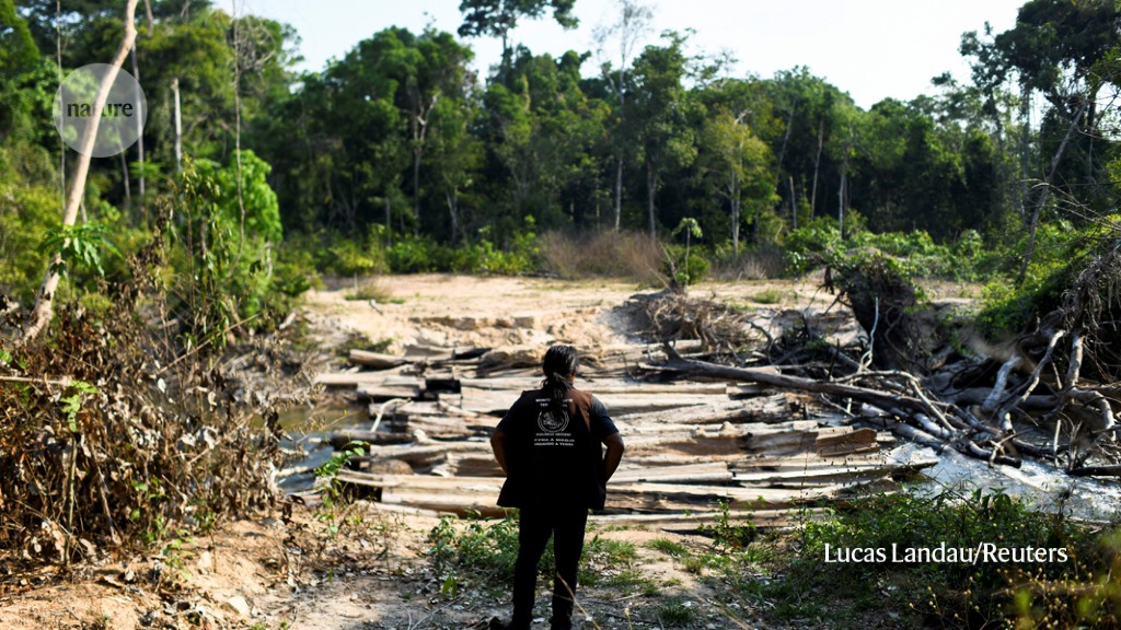 The environment and politics collide in Brazil