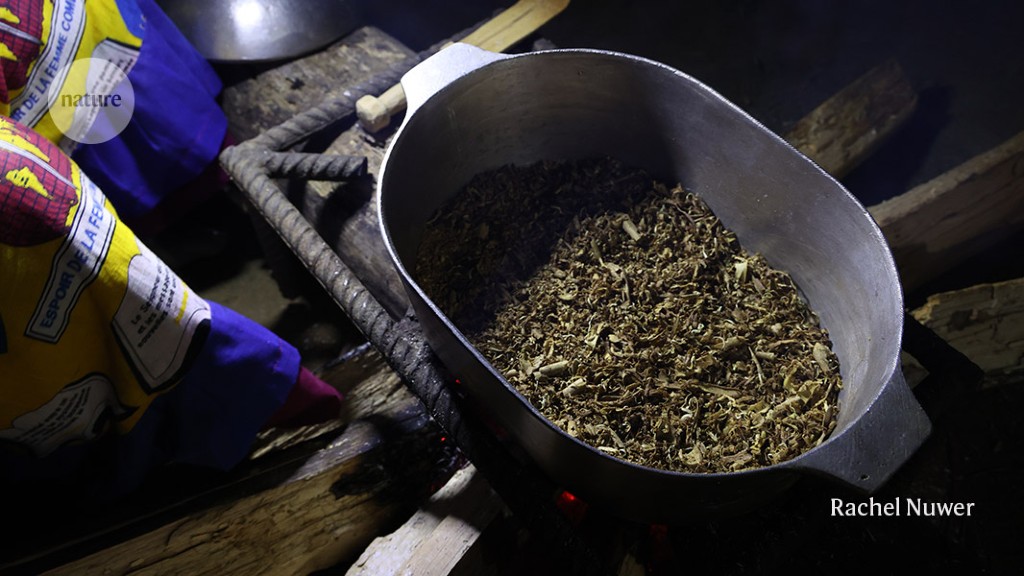 Them got better because of Ibogaine