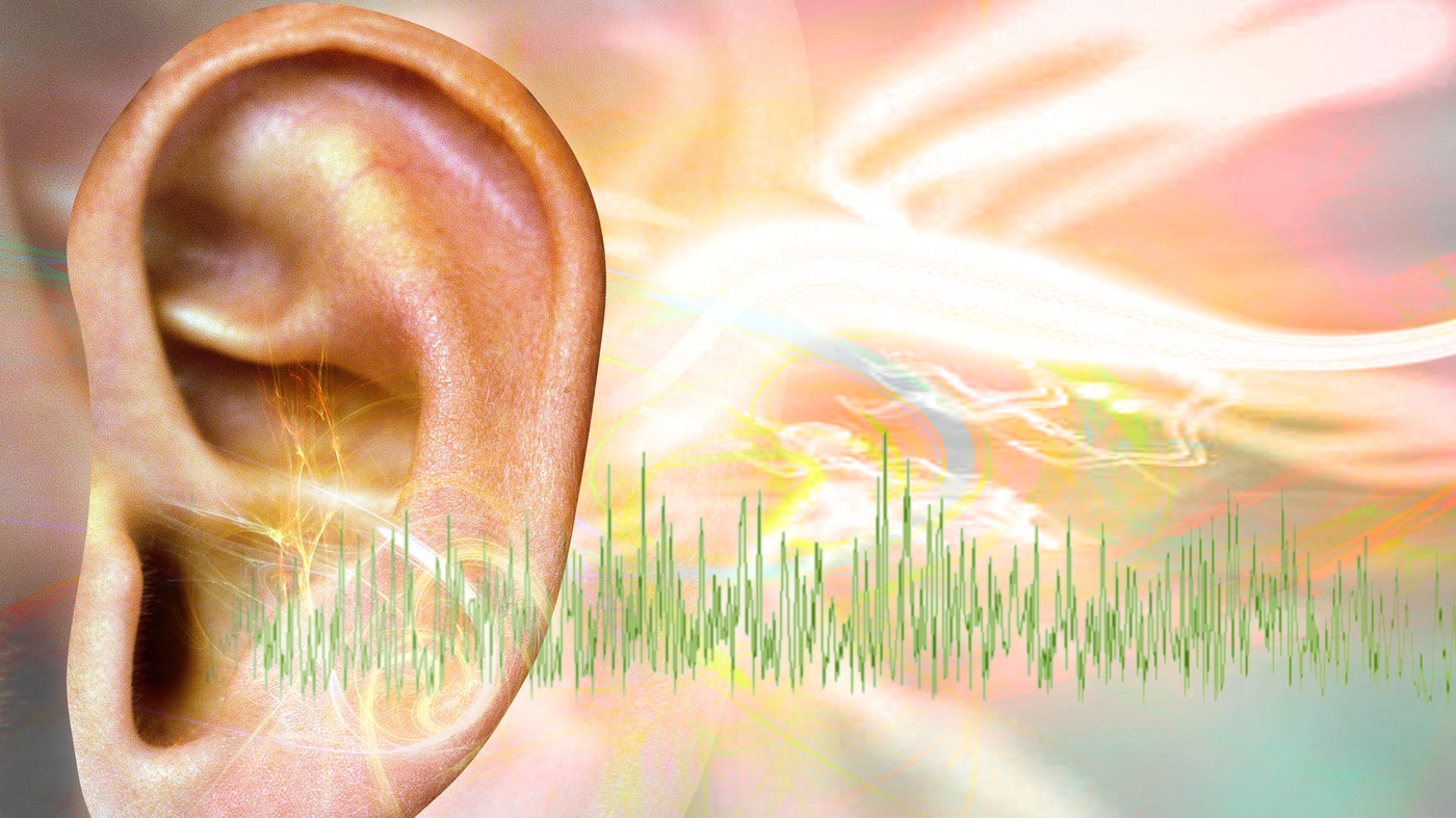 Gene therapy shows promise for a type of deafness
